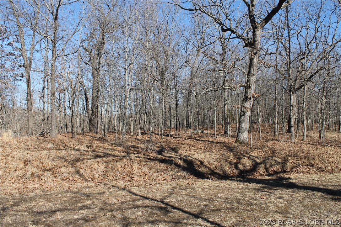 Dunn Drive Edwards Missouri home for sale listed at $8,275