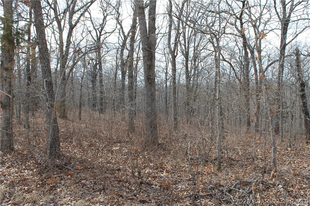 Anne Drive Edwards Missouri home for sale listed at $8,275
