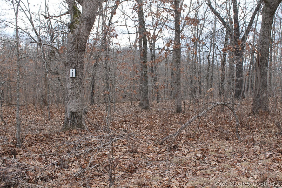 Ferro Lane, Edwards MO