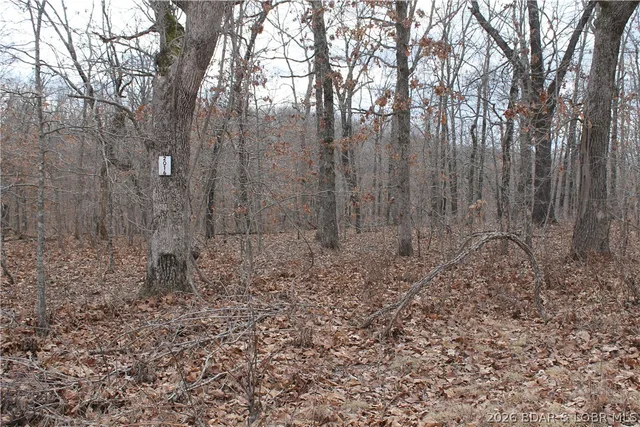 Ferro Lane, Edwards MO