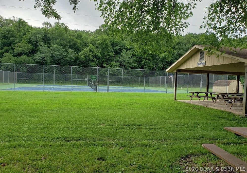 Photo 8
