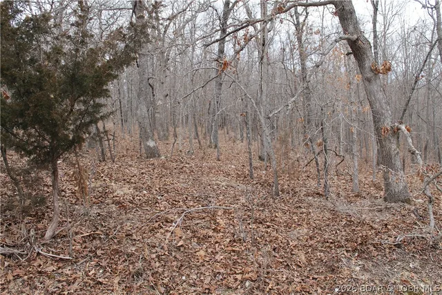 Bogardus Road, Edwards MO