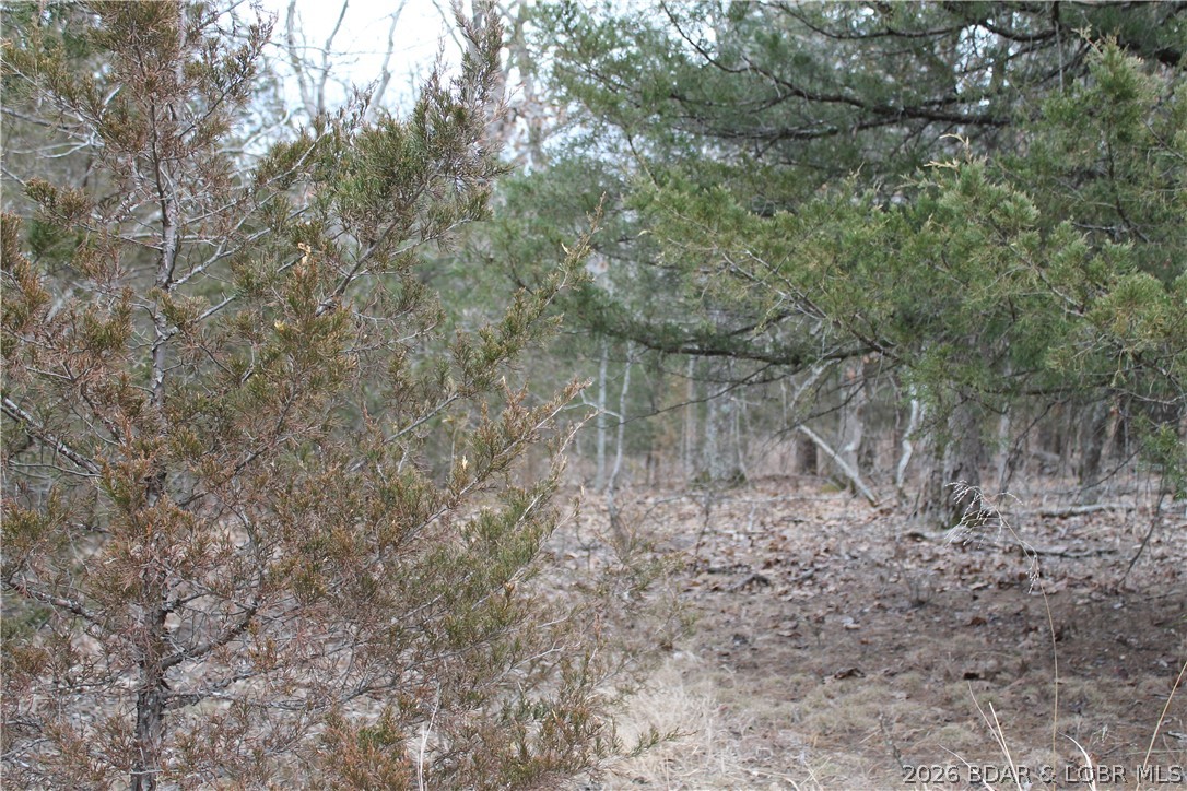 Toriyama Place Edwards Missouri home for sale listed at $6,250
