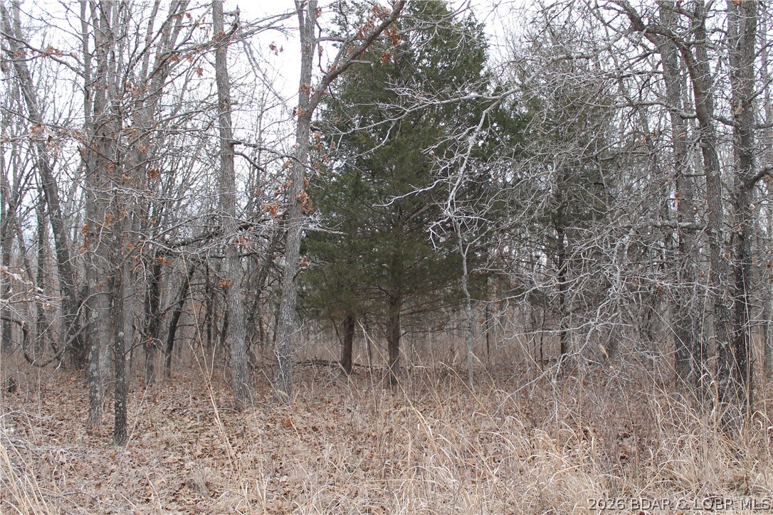 Ritchie Lane Edwards Missouri home for sale listed at $5,150