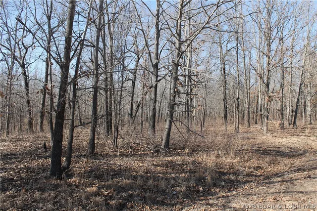 Bowden Place, Edwards MO