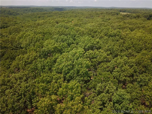 Old Canfield Ridge Road, Climax Springs MO
