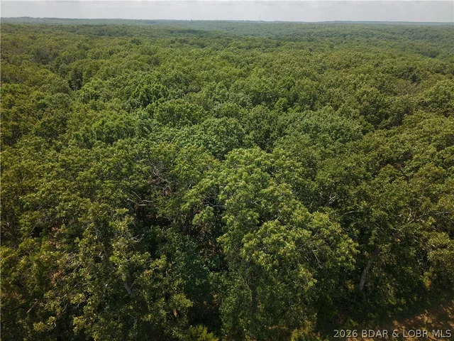Primary bedroom — Old Canfield Ridge Road Climax Springs Missouri real estate
