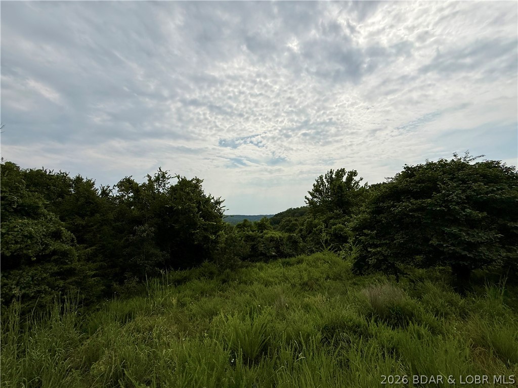 LOTS 50 & 52 EAGLES LANDING Edwards Missouri home for sale listed at $34,900