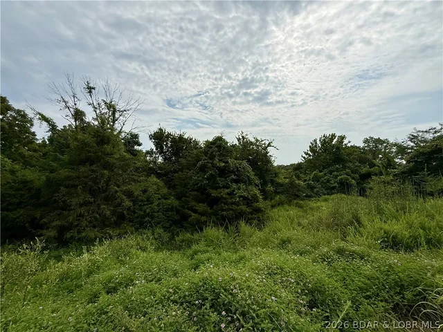Kitchen — LOTS 50 & 52 EAGLES LANDING Edwards Missouri real estate