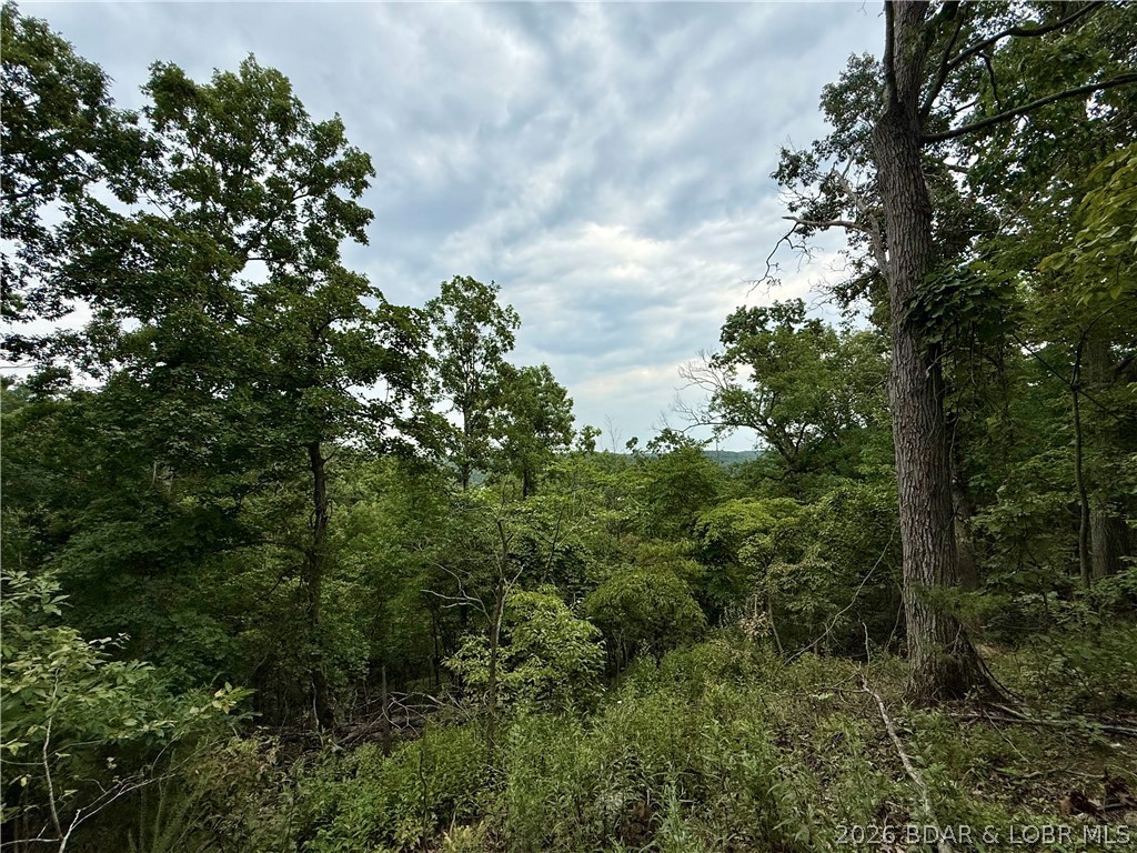 LOTS 53 & 54 OZARK HILLS Edwards Missouri home for sale listed at $19,900