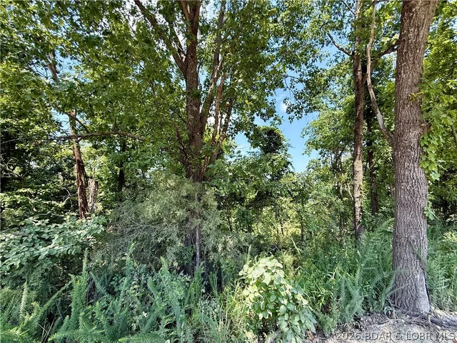 Primary bedroom — LOTS 53 & 54 OZARK HILLS Edwards Missouri real estate