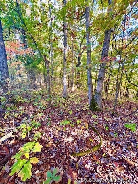 Lot#4 Lakewood Lane, Barnett MO