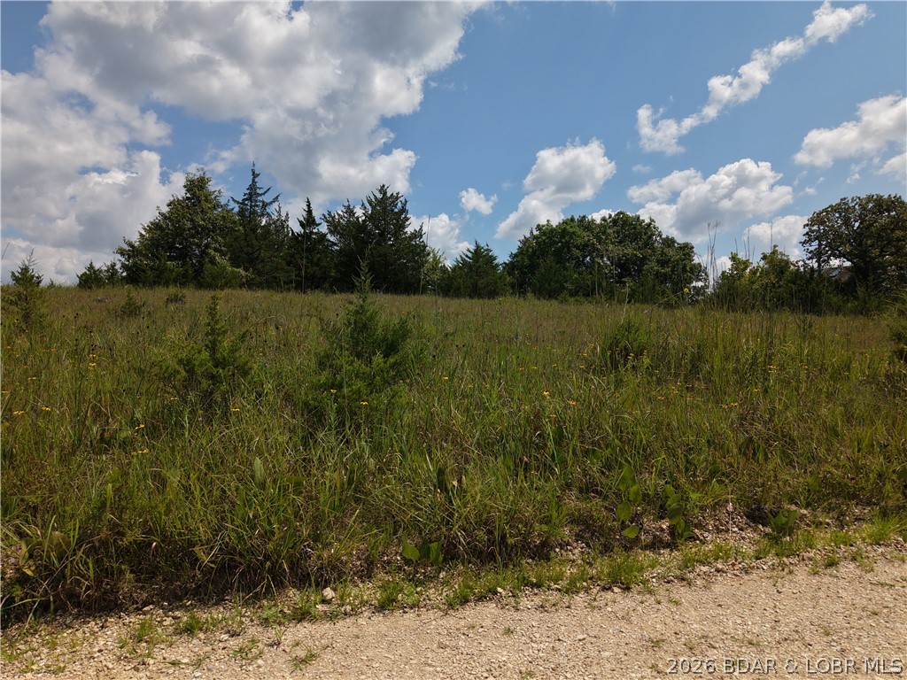 Niagra Drive Rocky Mount Missouri home for sale listed at $7,000