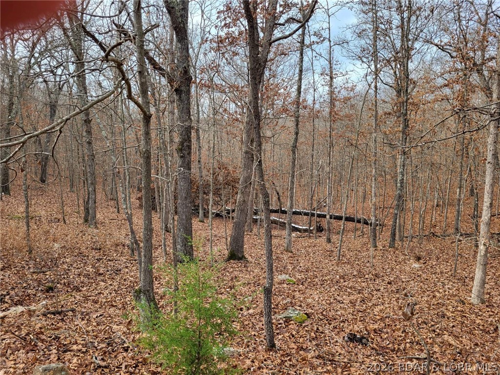 Dunn Drive Edwards Missouri home for sale listed at $14,900