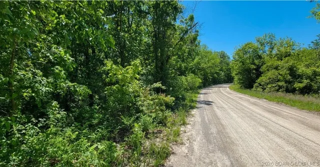 Living room — LOT#3 Lakewood Lane Barnett Missouri real estate