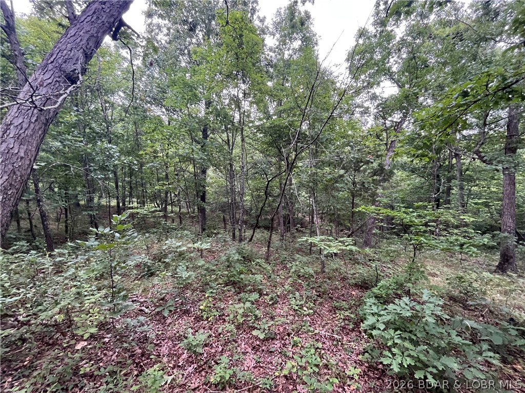 Patridge Drive Climax Springs Missouri home for sale listed at $63,500