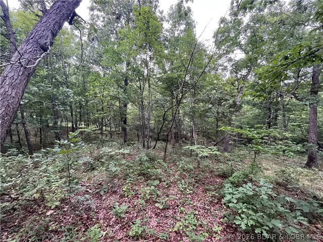 Patridge Drive, Climax Springs MO