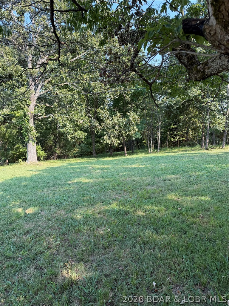 Photo 28