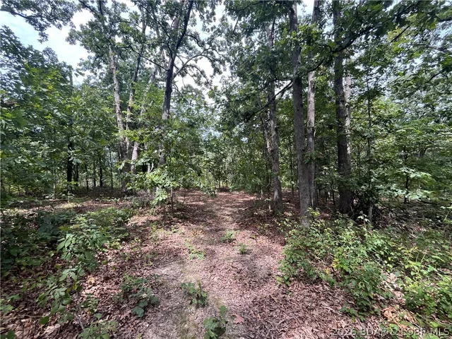 Partridge, Climax Springs MO