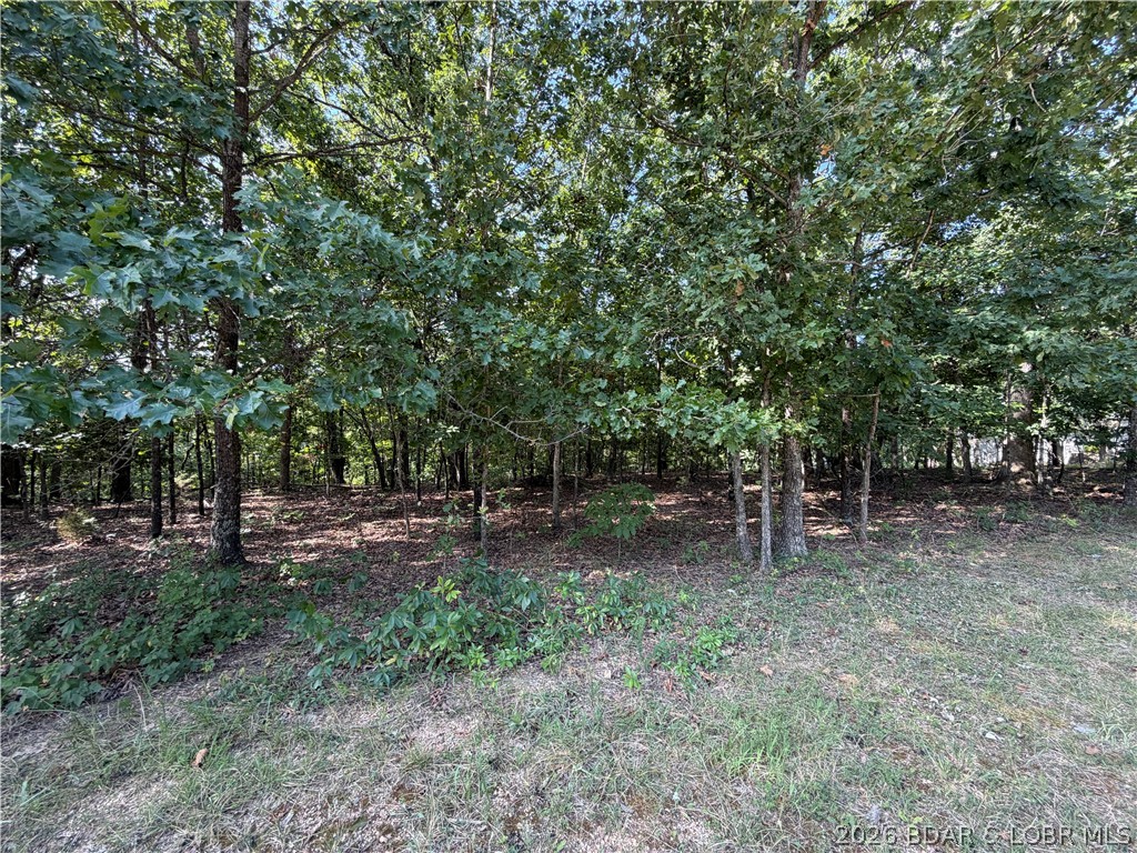 LOT 1064 Bittersweet Road Four Seasons Missouri home for sale listed at $8,929