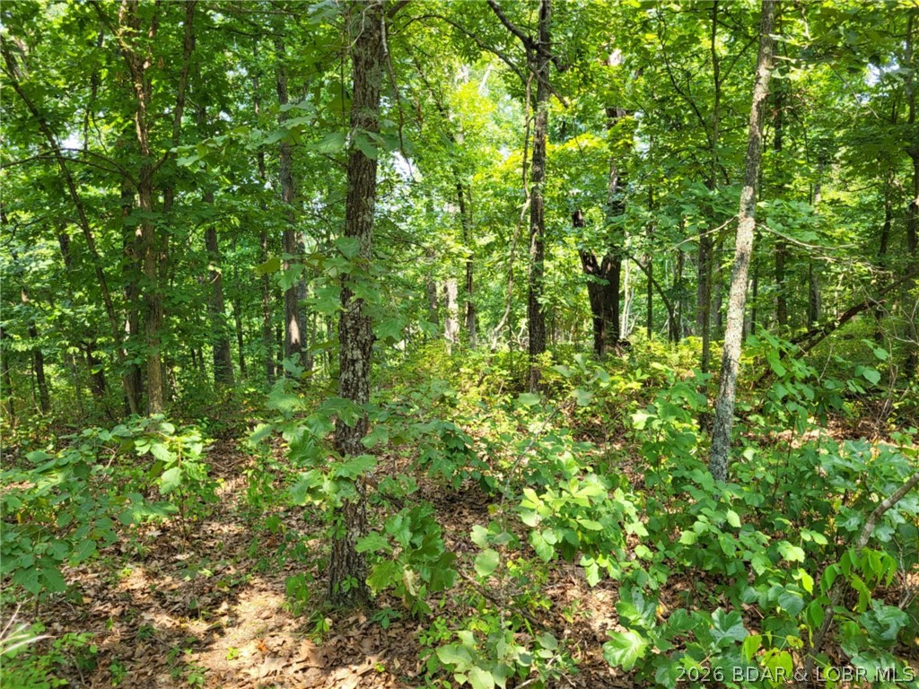 Lee Drive Edwards Missouri home for sale listed at $7,000