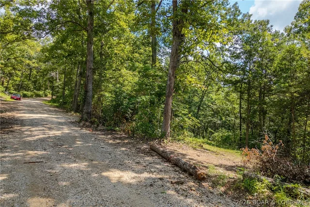 Primary bedroom — TBD Oak Cove Road Stover Missouri real estate