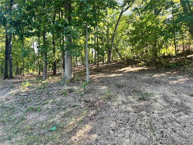 Kitchen — Lot 31 Willow Ridge Road Lake Ozark Missouri real estate