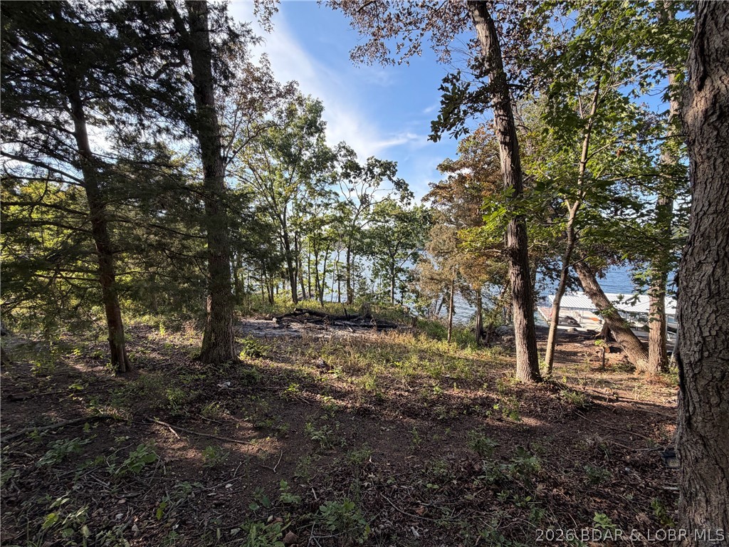 28924 W Gibson Point Road Gravois Mills Missouri home for sale listed at $180,000