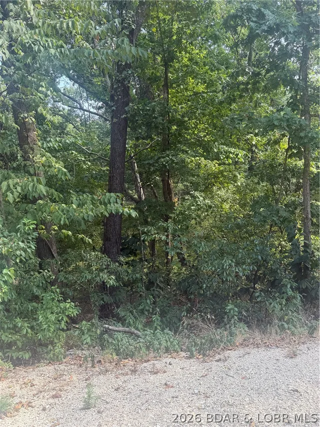 Kitchen — Lot 960 Nassau Circle Four Seasons Missouri real estate
