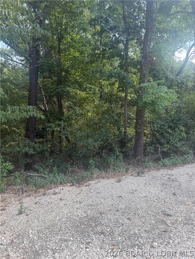 Primary bedroom — Lot 960 Nassau Circle Four Seasons Missouri real estate