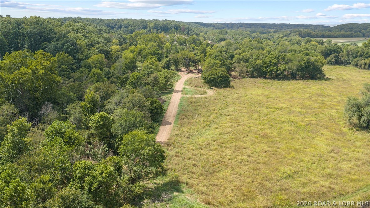 Photo 41