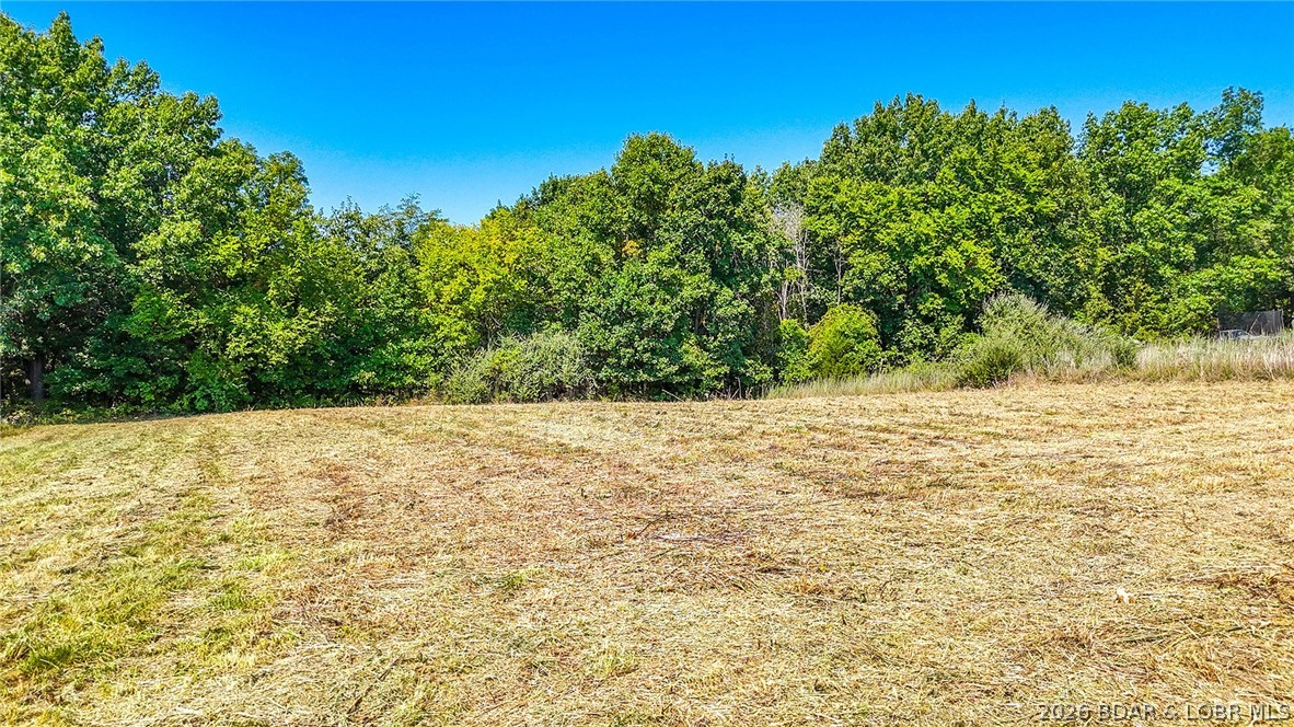 Lot #40 Big Sky Drive null Missouri home for sale listed at $39,500