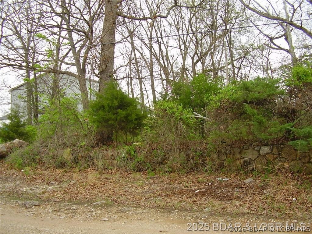 1037 Estate Road Osage Beach Missouri home for sale listed at $29,900