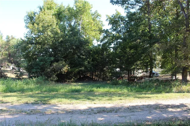 Living room — Lot C5 Country Life Road Gravois Mills Missouri real estate
