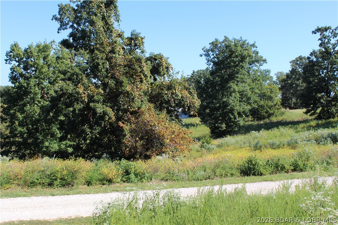 Lot B Country Life Road Gravois Mills Missouri home for sale listed at $22,500