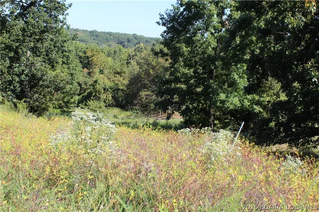 Front exterior — Lot B Country Life Road Gravois Mills Missouri real estate