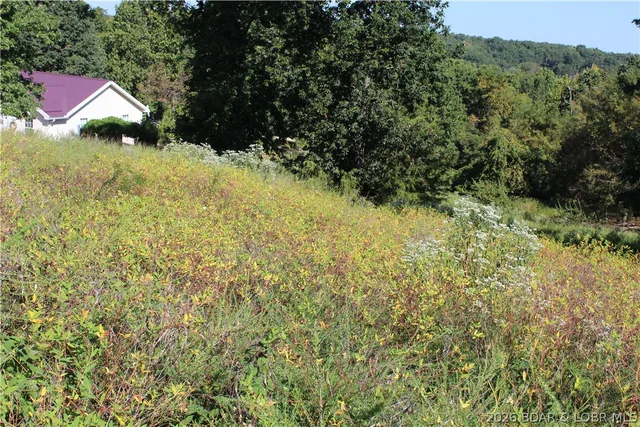 Living room — Lot B Country Life Road Gravois Mills Missouri real estate