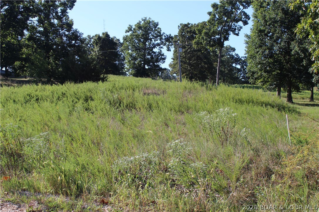 Lot 12 Fox Run Road, Gravois Mills MO