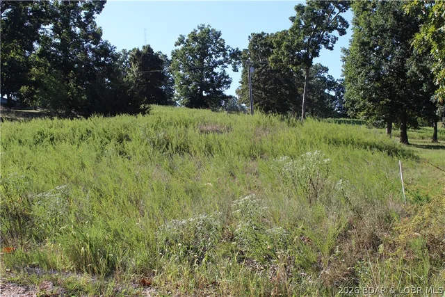 Lot 12 Fox Run Road, Gravois Mills MO