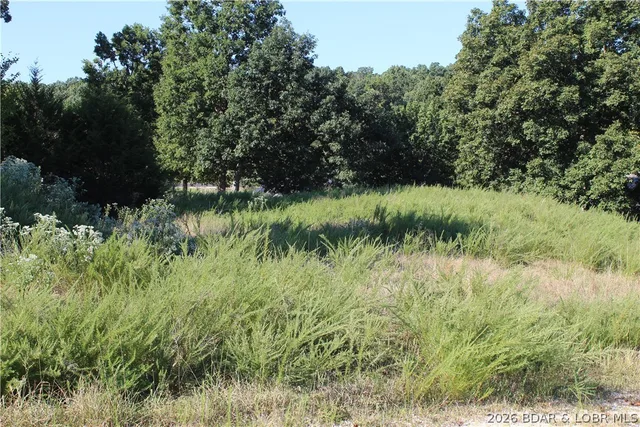 Front exterior — Lot 12 Fox Run Road Gravois Mills Missouri real estate