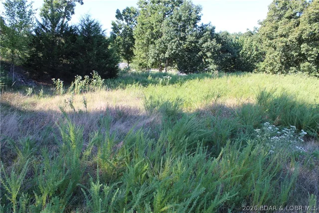 Living room — Lot 12 Fox Run Road Gravois Mills Missouri real estate
