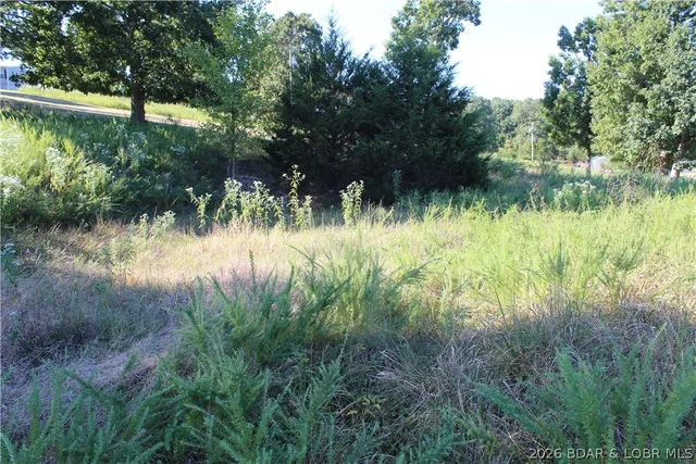 Kitchen — Lot 12 Fox Run Road Gravois Mills Missouri real estate