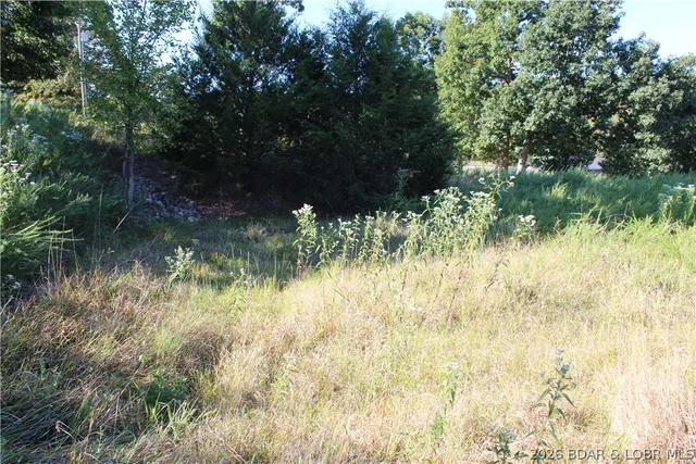 Primary bedroom — Lot 12 Fox Run Road Gravois Mills Missouri real estate
