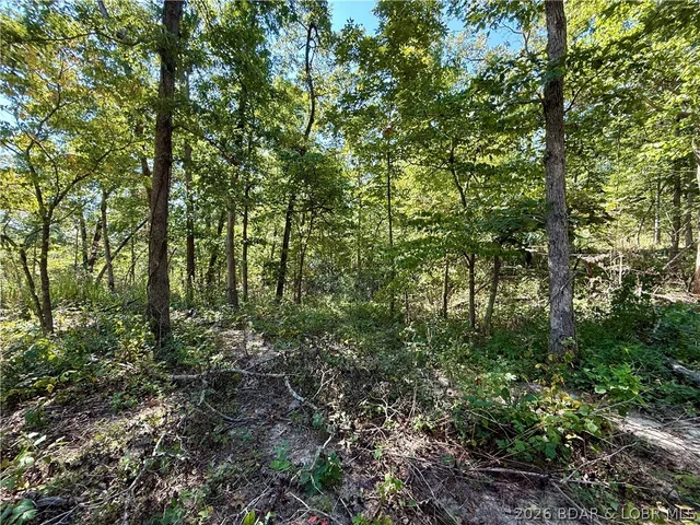Front exterior — 4.6 Acres Possum Trot Rd Stover Missouri real estate