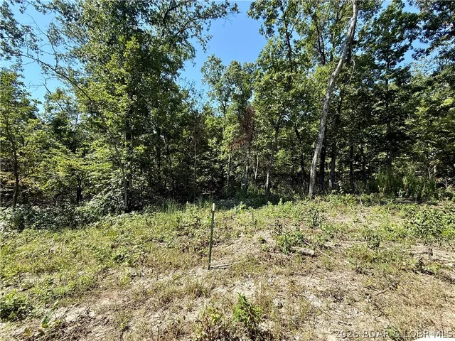 Living room — 4.6 Acres Possum Trot Rd Stover Missouri real estate