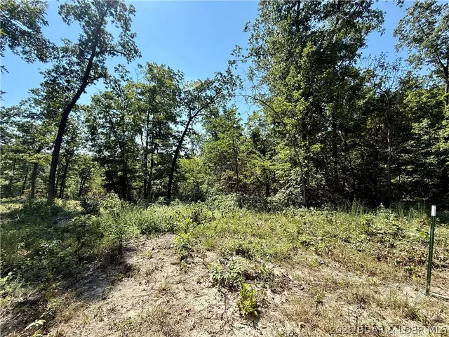 Kitchen — 4.6 Acres Possum Trot Rd Stover Missouri real estate
