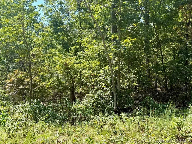 Primary bedroom — 4.6 Acres Possum Trot Rd Stover Missouri real estate