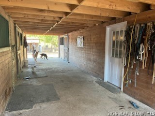 Photo 44