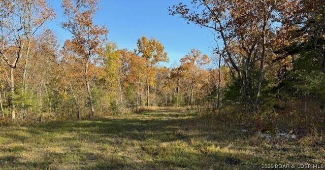 Living room — 80 Acres Fair Oaks Drive Lincoln Missouri real estate