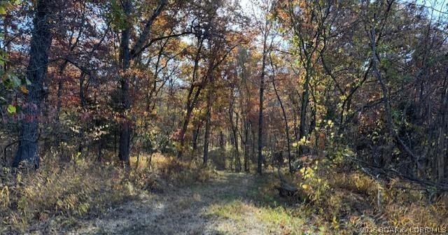 Kitchen — 80 Acres Fair Oaks Drive Lincoln Missouri real estate